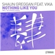 Shaun Greggan Feat. Vika - Nothing Like You