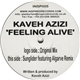 Kaveh Azizi - Feeling Alive