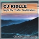 CJ Riddle - Night Fly / Traffic / Modification